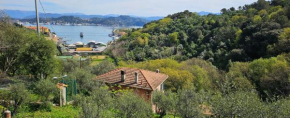 CASA AMELIA